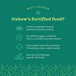 Oxbow Essentials Young Rabbit Food - Natural Pellets