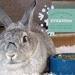 Oxbow Essentials Young Rabbit Food - Natural Pellets