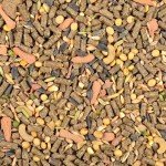 Wild Harvest Adult Rabbit Advanced Nutrition, 8 lbs
