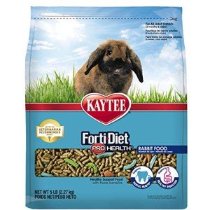 Kaytee Pro Health Rabbit Food for Adults - 5 lbs