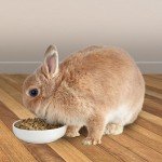Kaytee Timothy Complete Rabbit Food, 9.5 lbs