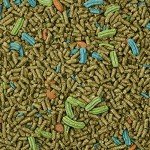Kaytee Pro Health Rabbit Food for Adults - 5 lbs