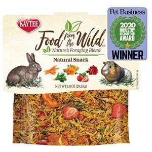 Kaytee Wild Natural Snack for Small Pets 1oz