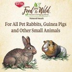 Kaytee Wild Natural Snack for Small Pets 1oz