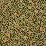 Kaytee Forti-Diet Pro Health Rabbit Food 5lb