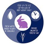 Vitakraft Vita Smart Rabbit Food, 4 lbs