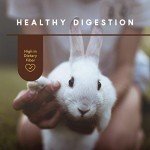 Manna Pro Complete Rabbit Feed with Vitamins, 5lb