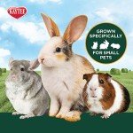 All-Natural Timothy Hay for Guinea Pigs & Rabbits