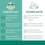 Oxbow Natural Timothy Hay for Small Pets