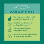 Oxbow Natural Timothy Hay for Small Pets