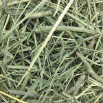 Oxbow Natural Timothy Hay for Small Pets