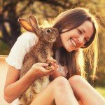 Adult Rabbit Food - Alfalfa & Timothy Hay Blend