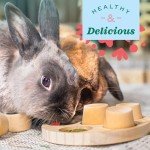 Oxbow Strawberry Treats for Small Animals 0.5 oz