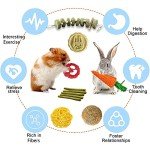20 Bunny Chew Toys for Rabbits and Small Pets