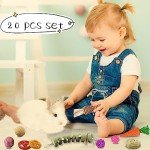 20 Bunny Chew Toys for Rabbits and Small Pets