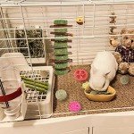 20 Bunny Chew Toys for Rabbits and Small Pets