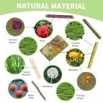 Natural Chew Toys for Small Pets - 50-60 PCS