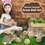 VESPRO Natural Chew Grass Balls for Small Pets