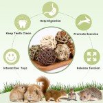 VESPRO Natural Chew Grass Balls for Small Pets