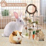 Bissap Bunny Hanging Chew Toy for Small Pets