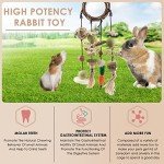 Bissap Bunny Hanging Chew Toy for Small Pets