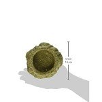 Timothy Hay Chew-A-Bowl for Small Pets
