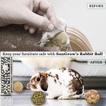 Assorted Chew Balls for Rabbits and Cats