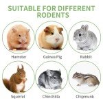 Natural Chew Toys for Small Pets - 50-60 PCS