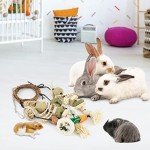 Bissap Bunny Hanging Chew Toy for Small Pets