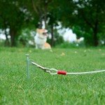 Durable 25ft Tie-Out Cable for Dogs