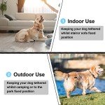 Jenico Heavy-Duty Dog Tie Out Runner Cable