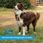 30 FT Heavy Duty Dog Tie Out Cable