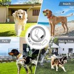 Jenico Heavy-Duty Dog Tie Out Runner Cable