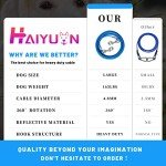 HaiYUAN Heavy-Duty Dog Tie Out Cable - 10 to 30 FT