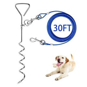 30ft Dog Tie Out Cable with Heavy Duty Stake