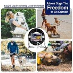 Heavy-Duty 50ft Tie-Out Cable for Large Dogs