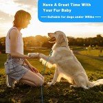 HaiYUAN Heavy-Duty Dog Tie Out Cable - 10 to 30 FT