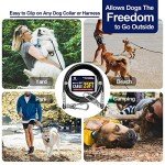 Heavy-Duty 100ft Dog Tie-Out Cable 300lbs