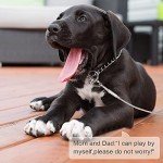 50FT Reflective Tie Out Cable for Dogs