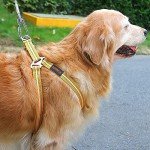 50FT Reflective Tie Out Cable for Dogs