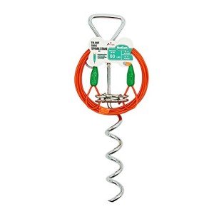 Spiral Stake with Tie-Out Cable for Medium Dogs