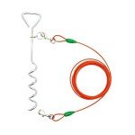 Spiral Stake with Tie-Out Cable for Medium Dogs