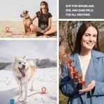 Heavy Duty Dog Tie Out Stake for Large Dogs