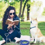 6-Piece Heavy Duty Dog Tie Out Setup