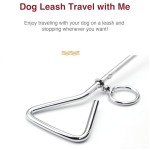 Heavy Duty Dog Tie Out Stake for Camping