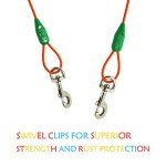 Spiral Stake with Tie-Out Cable for Medium Dogs