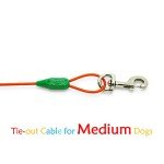 Spiral Stake with Tie-Out Cable for Medium Dogs