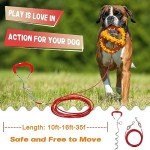 Heavy-Duty Dog Tie Out Cable and Stake