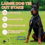 HEPFLANZE Heavy Duty Dog Tie Out Stake