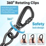 Heavy Duty 30ft Dog Tie-Out Cable and Stake